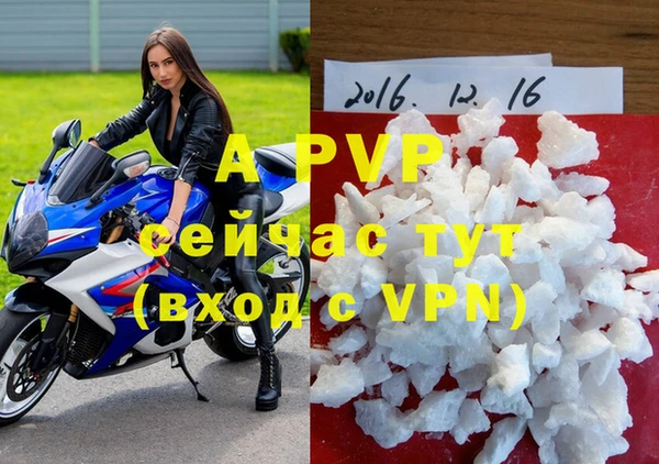 mdpv Волоколамск