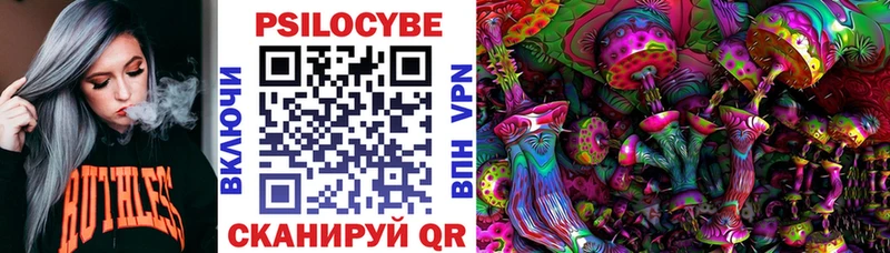 Галлюциногенные грибы Psilocybine cubensis  Сыктывкар 