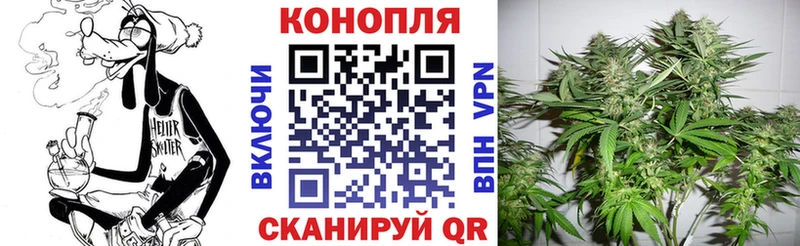 где купить   Сыктывкар  Марихуана гибрид 